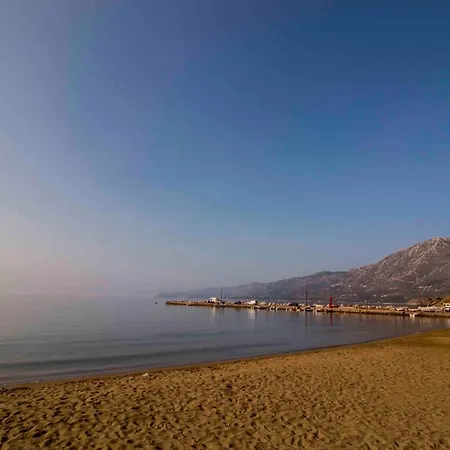 Laconian Collection Κότρωνας