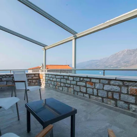 Laconian Collection * Κότρωνας