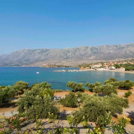 Laconian Collection * Κότρωνας
