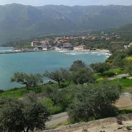 Laconian Collection Διαμέρισμα