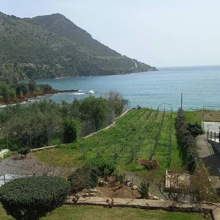 Laconian Collection * Κότρωνας
